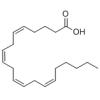 花生四烯酸