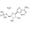 腺苷-5'-磷酸
