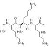 多聚赖氨酸