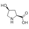 L-羟脯氨酸