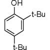 2,4-二叔丁基酚