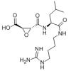 N-(反式-环氧丁二酰基)-L-亮氨酸-4-胍基丁基酰胺