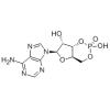 腺苷环磷酸酯