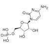 5'-胞苷酸