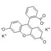 荧光素二钾