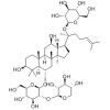 三七皂甙 R1
