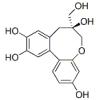 原苏木素B