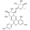 山柰酚-3-O-芸香糖苷