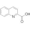 喹哪啶酸 