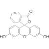 荧光素