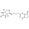 (+)生物素-N-琥珀酰亚胺基酯