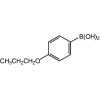4-正丙氧基苯硼酸
