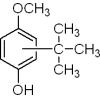 叔丁基-4-羟基苯甲醚