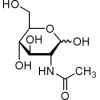 N-乙酰-D-氨基葡萄糖