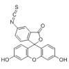 异硫氰酸荧光素