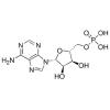 5-腺嘌呤核苷酸