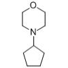 4-环戊基吗啉