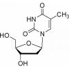 β-胸苷(dT)