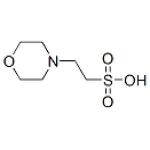 2-(N-吗啉）乙烷磺酸 