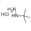叔丁基肼盐酸盐