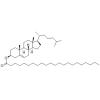 胆固醇山梨酸酯