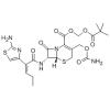 头孢卡品酯