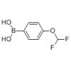 对二氟甲氧基苯硼酸