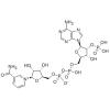 烟酰胺腺嘌呤双核苷酸磷酸盐