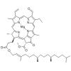 叶绿素 B