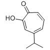 4-异丙基环庚三烯酚酮