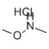 二甲羟胺盐酸盐