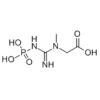磷酸肌酸