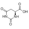 L-4,5-二氢乳清酸