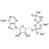 腺苷-5'-三磷酸二钠盐