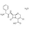 头孢克洛(一水物)