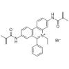 溴化乙锭-N,N`-双甲丙烯酰基酰胺