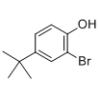 2-溴-4-叔丁基苯酚