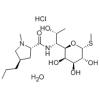 盐酸林可霉素(一水物)