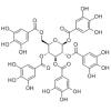 1,2,3,4,6-O-五没食子酰葡萄糖