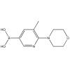 	B-[5-甲基-6-(4-吗啉基)-3-吡啶基]硼酸
