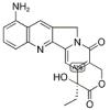 9-氨基喜树碱